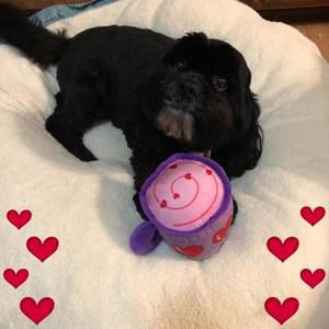 Meet your Posher, Debbie